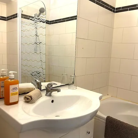 Appartement Petit Patapon - T2 Hyper Centre Albi