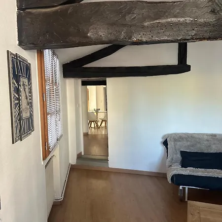 Petit Patapon - T2 Hyper Centre Albi